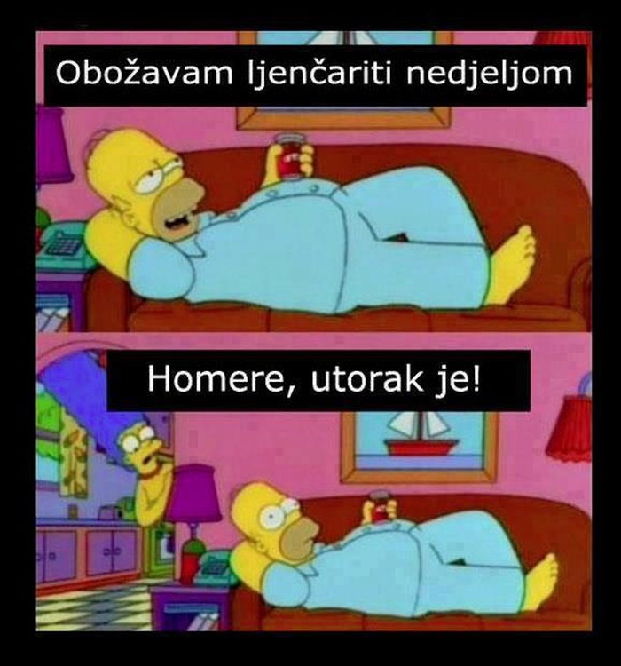 Nije Homeru lako u životu... Jel i tebi tako? :D