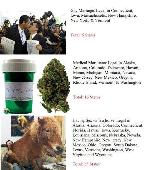 Seks s konjem da, marihuana ne?