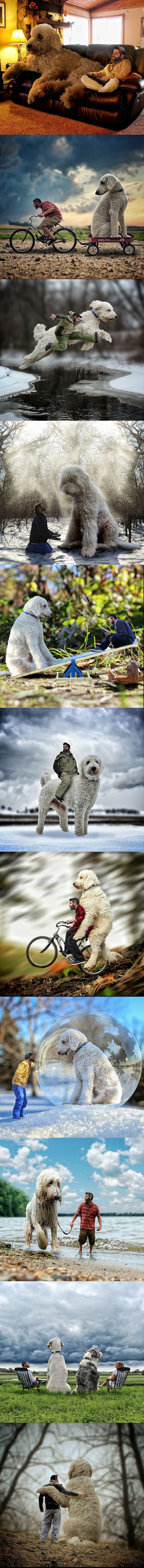Fotograf je odlučio pretvoriti svog psa u diva, a rezultati su zapanjujući