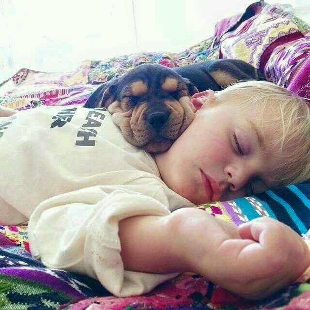 San s najdražim bićem