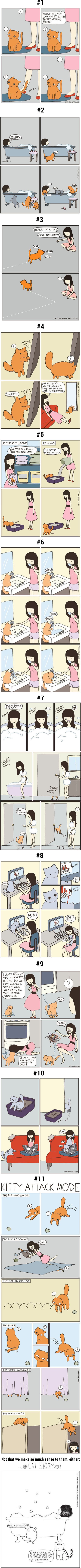 Genijalni strip koji otkriva kako je živjeti s mačkom