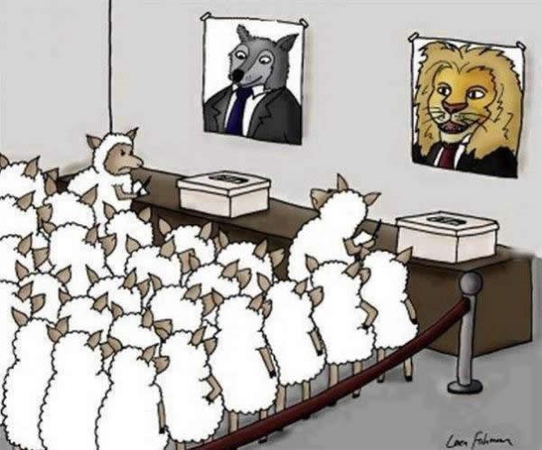 Ma kakav problem, pa demokracija je