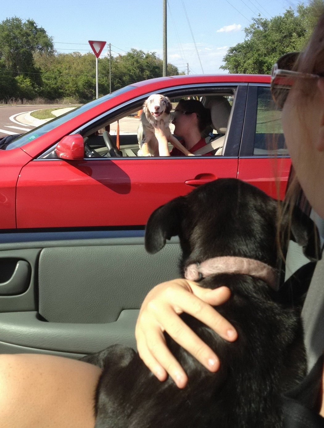 Ljubav na prvi pogled