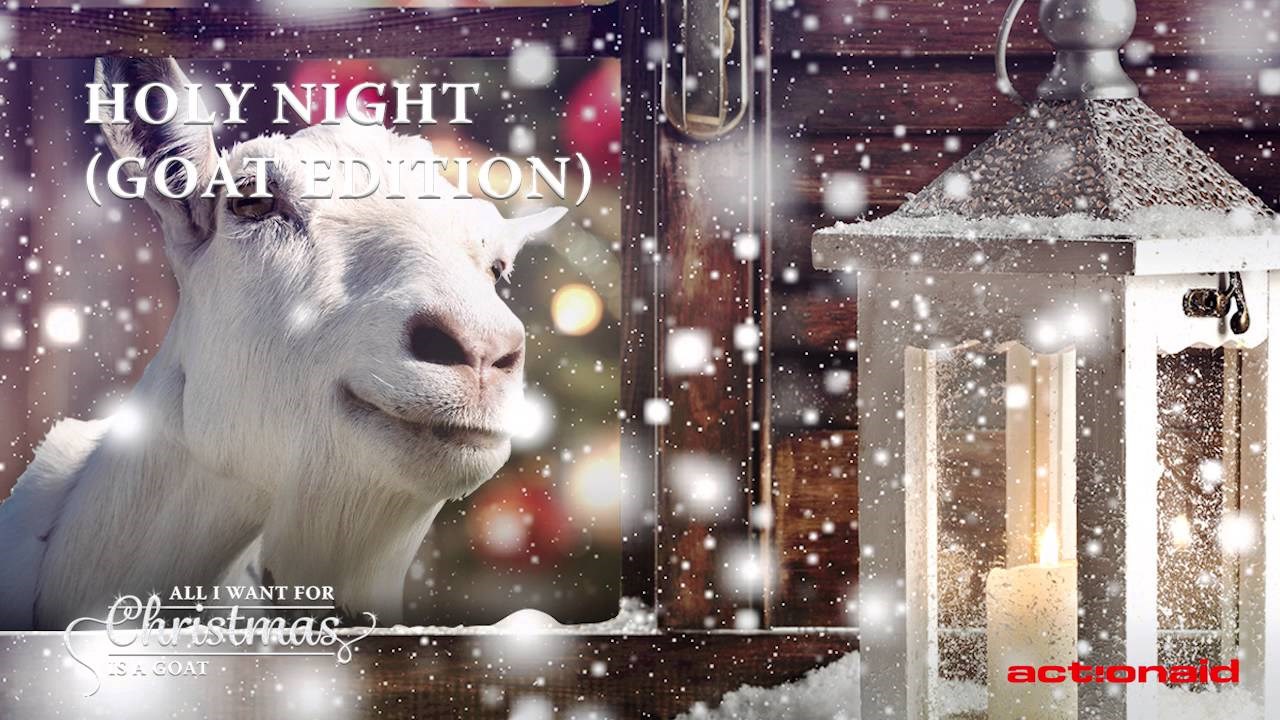 KOZE SNIMILE BOŽIĆNI ALBUM: "Tiha noć"