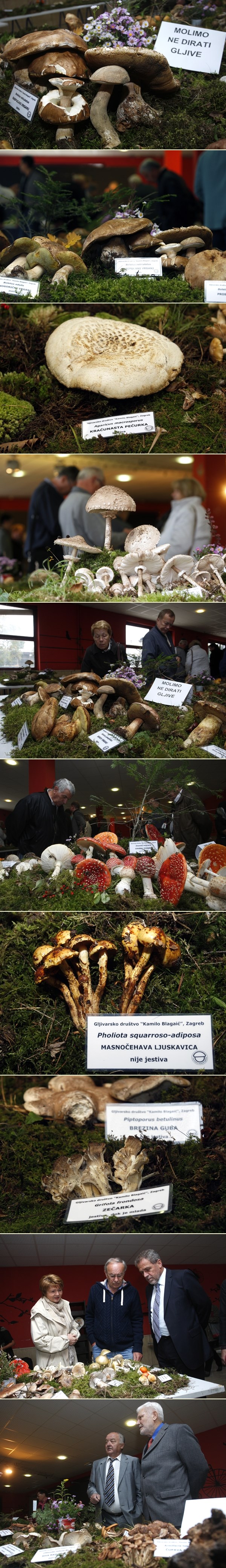 Izložba gljiva u Zagrebu: Pazite da ne ponjupate lude