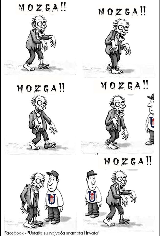 Nema mozga kod fašista