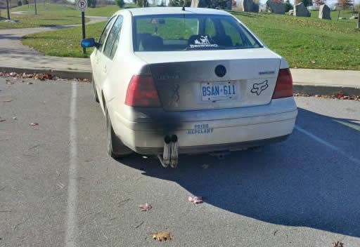 Svijet je pun budala