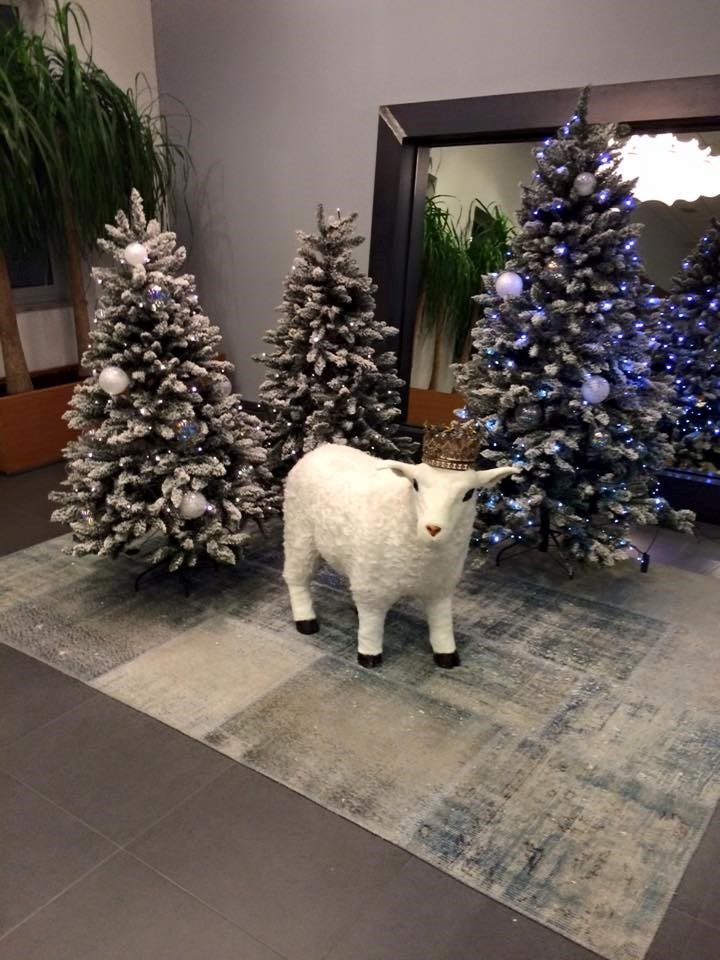 Zagrebačke jaslice okrunile predstavnika naroda