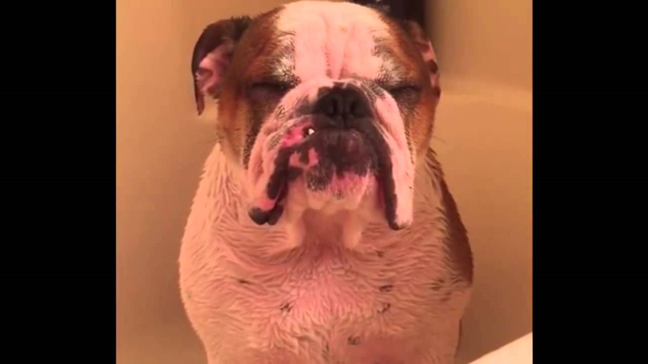 VIDEO: Njemu su starno sve lađe potonule