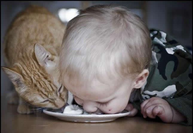 Kad djecu odgajaš uz životinje, nauče - dijeliti