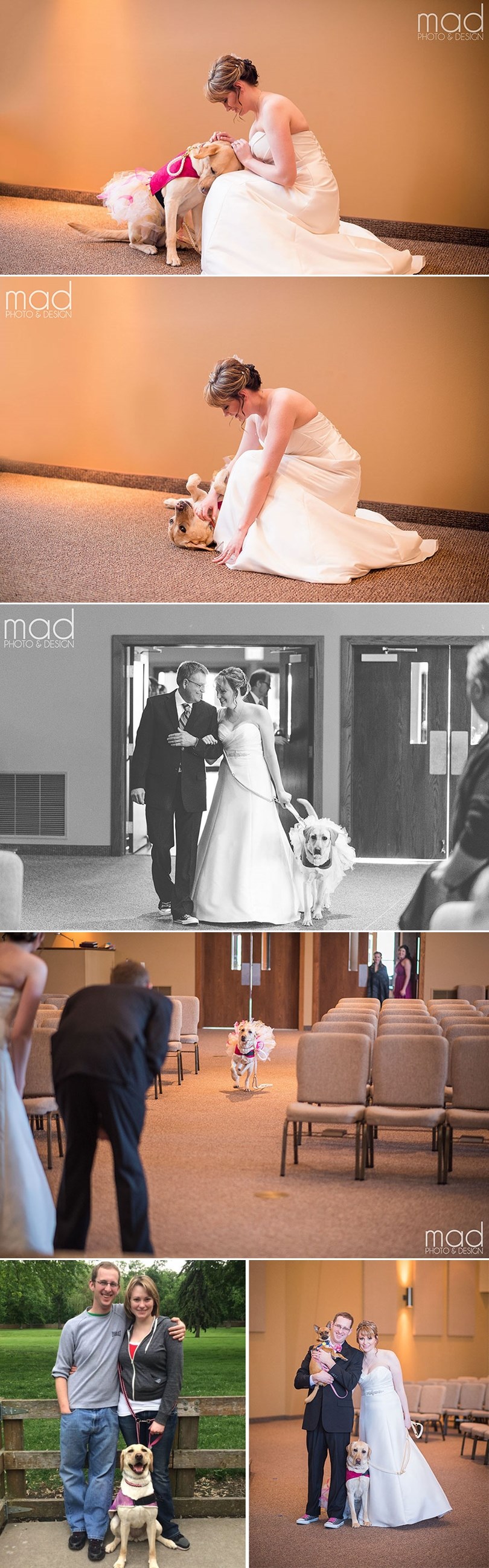 Brižni pas se zabunio, pokušao mladenku spasiti od vjenčanja