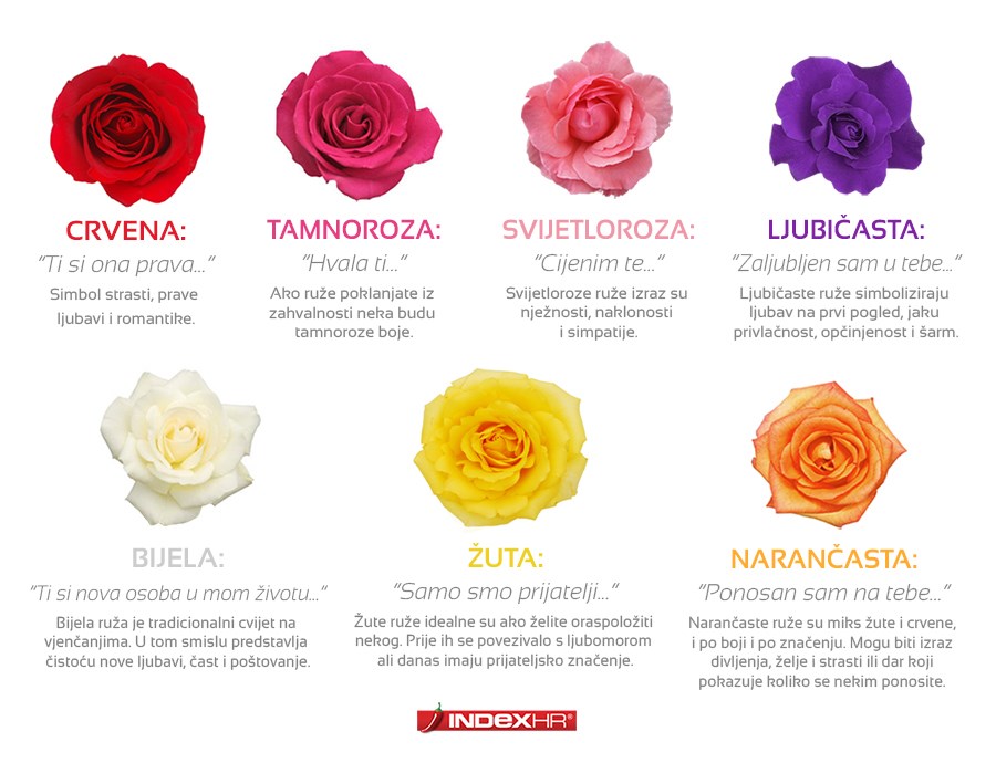 Znaš li što poručuje boja ruže koju ti pokloni?