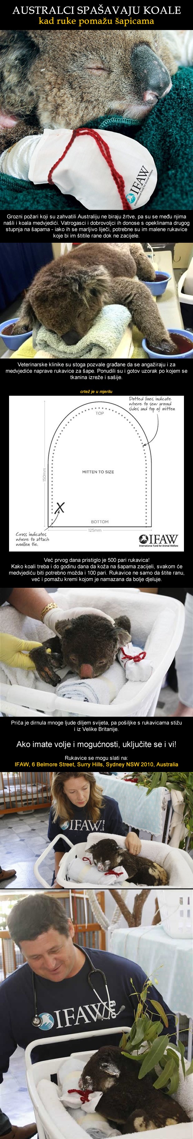 Pomozi medvjediću u nevolji: Australija spašava koale