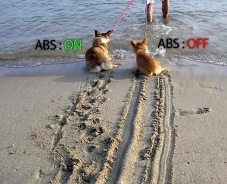 Pseće nožice objašnjavaju rad ABS-a