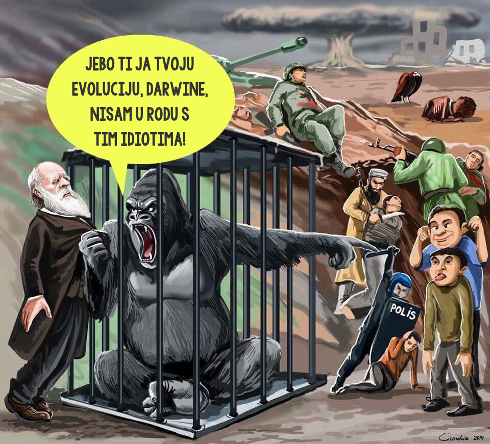 Više se oni imaju razloga sramiti nas