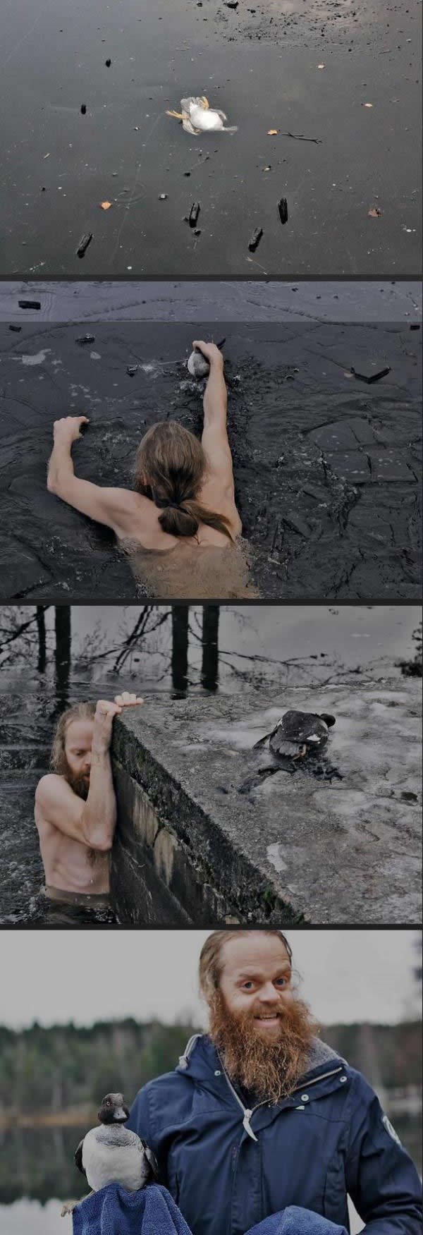 Galerija: Bradati heroj riskirao život za patkicu u nevolji