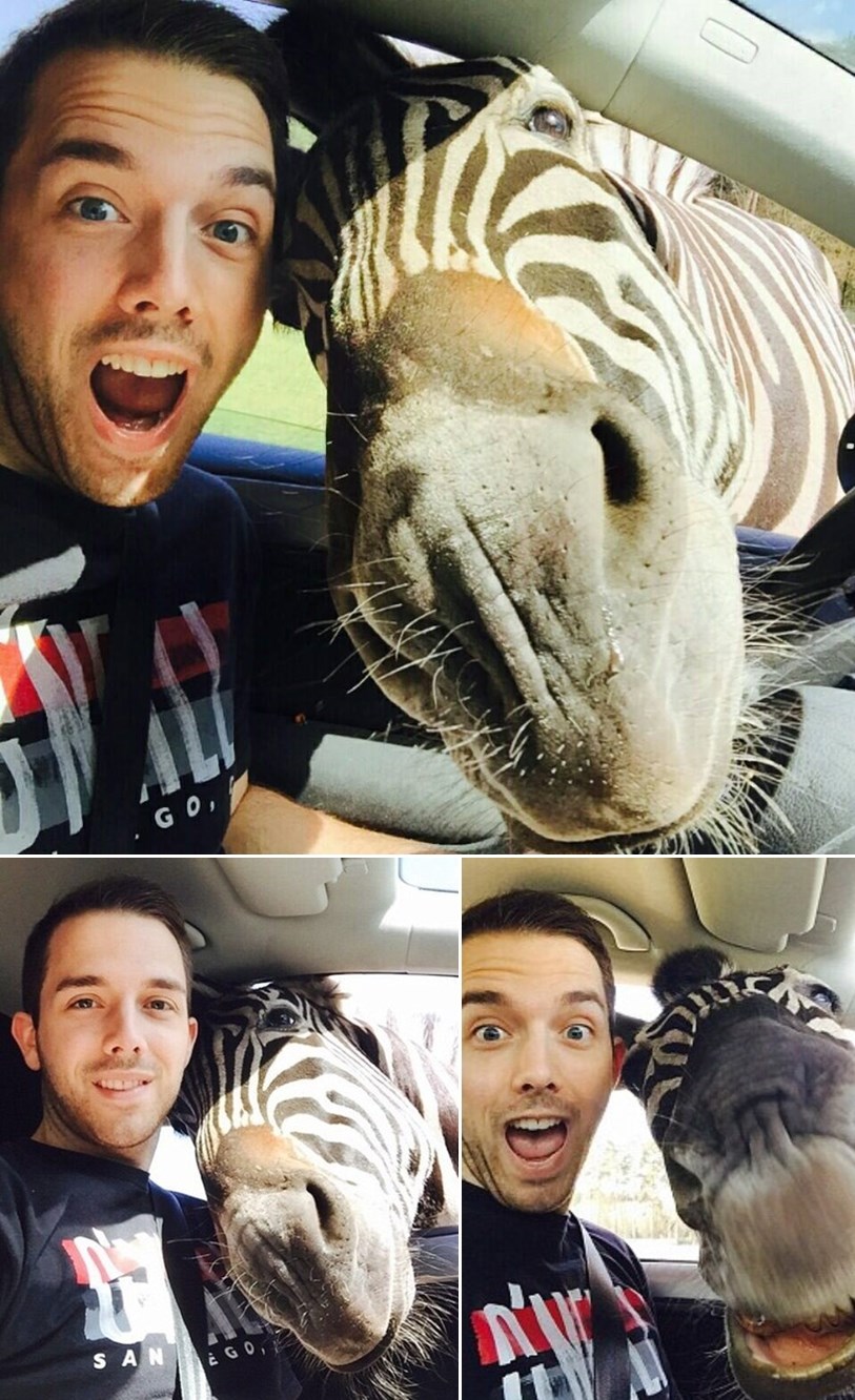 Galerija: Upala mu zebra u selfie, postali hit na internetima