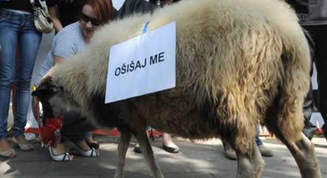 Prosječni glasač u Hrvata