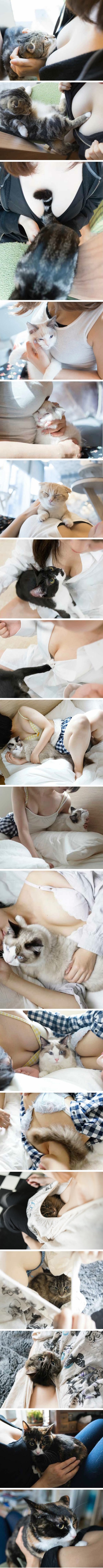 Japanac je odlučio spojiti dvije stvari koje internet obožava - ženske grudi i mačke