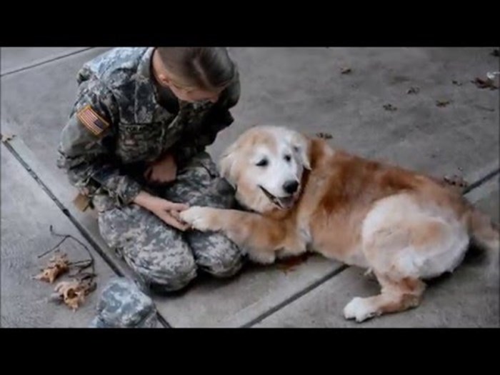 VIDEO: Povratak vojnika kući oduševio psa!