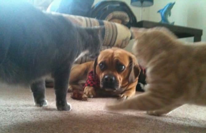 U krivi kvart si zašao, druškane!