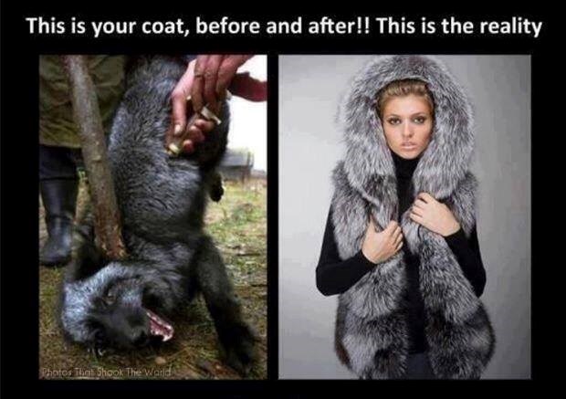 Nosi krzno, imaj ubojstvo na savjesti