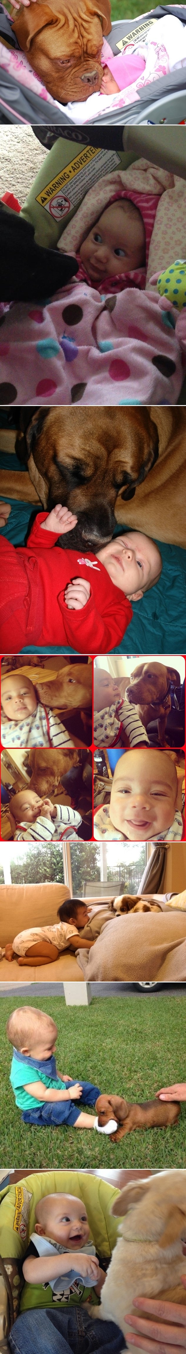 Galerija: Klinci prvi put vide psa