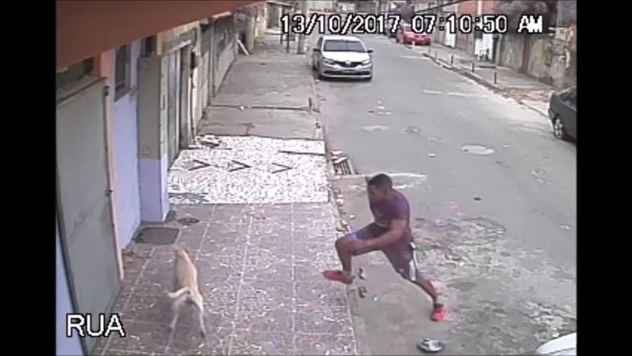 VIDEO Zbunjeni pas je sjedećeg muškarca zamijenio s hidrantom pa mu servirao neugodno iznenađenje