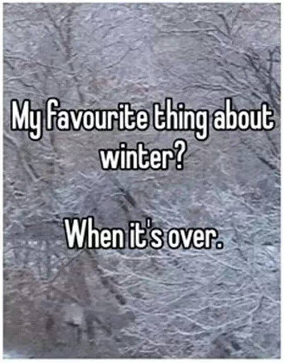 Koji ti je najdraži dio zime?