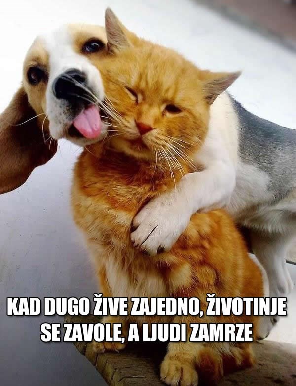 Što ti vrijedi inteligencija, ako ne možeš voljeti?