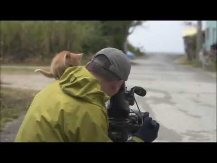 maca se sprijateljila sa kamermanom..video