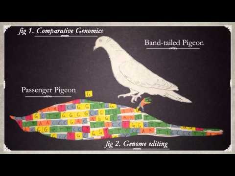 BUĐENJE MRTVIH: Znanstvenici mogu vratiti izumrle vrste koje smo pobili?