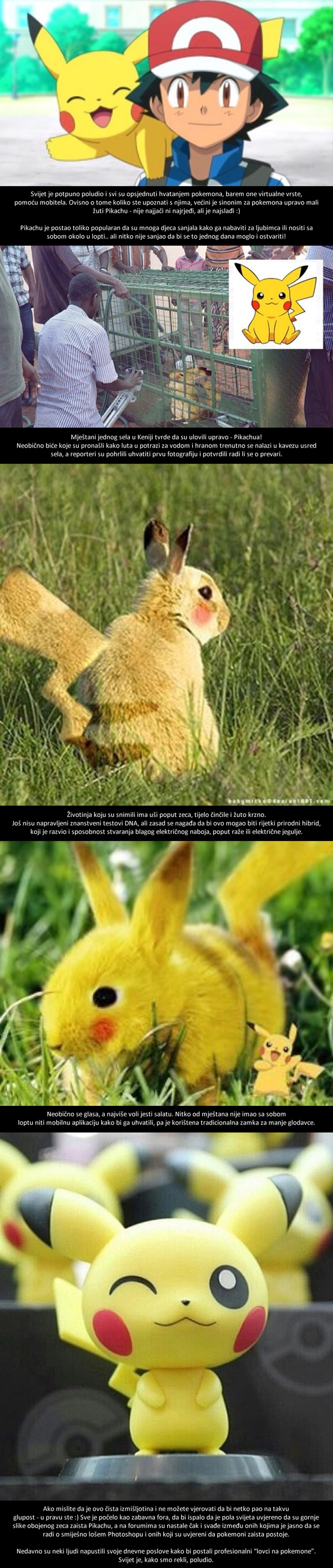 ŠTO JE OVO, LJUDI! Iz sela u Keniji tvrde da su ulovili pravog Pikachua!