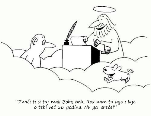 Zauvijek vjerni: Psi stvarno misle ozbiljno!