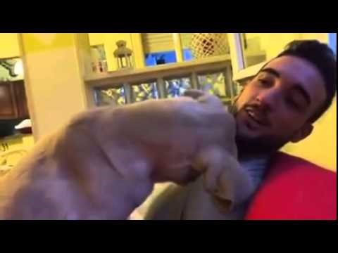 ma koji bezdušnik mu ne bi oprostio ?? video