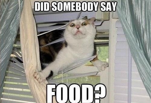 Kad nanjuši hranu samo nebo joj je granica