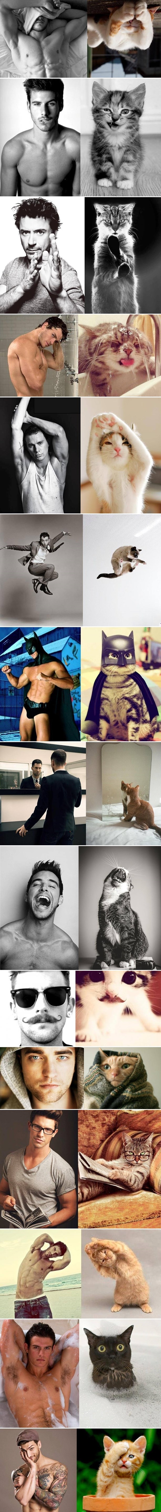 Seksi dečki vs. umiljate mace