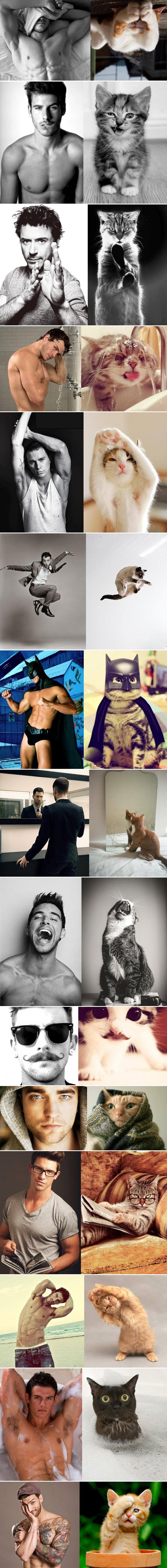 Seksi dečki vs. umiljate mace