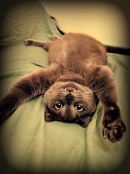 Uživam i beljim ti se i tak sam ti slatki