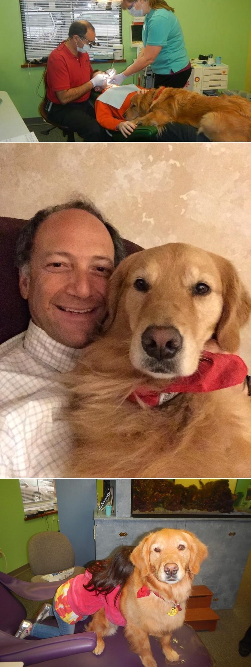 Zubar naučio psa tješiti dječicu dok im popravlja zube