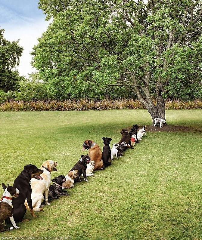 U redu za WC na koncertu