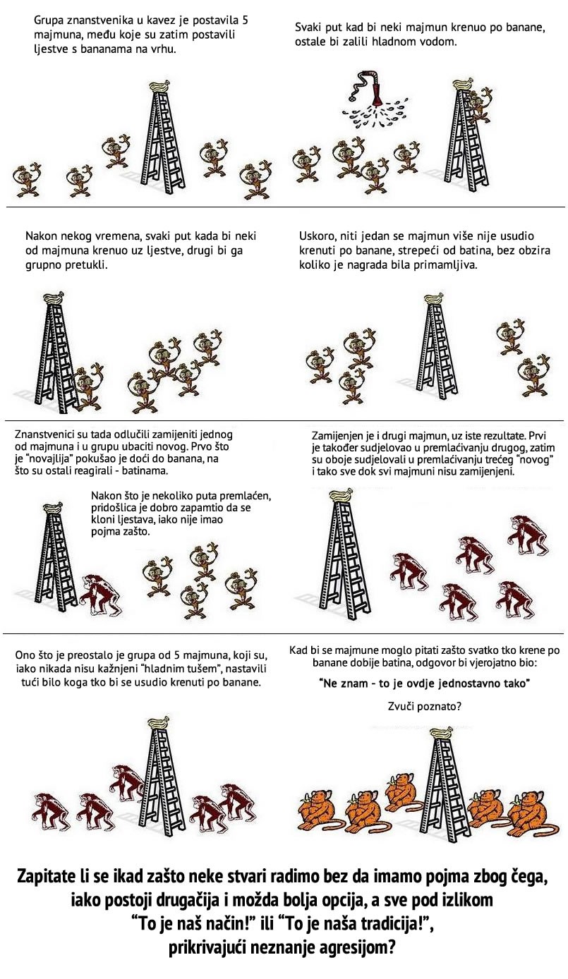 Eksperimentom s majmunima prikazali ljudsku glupost