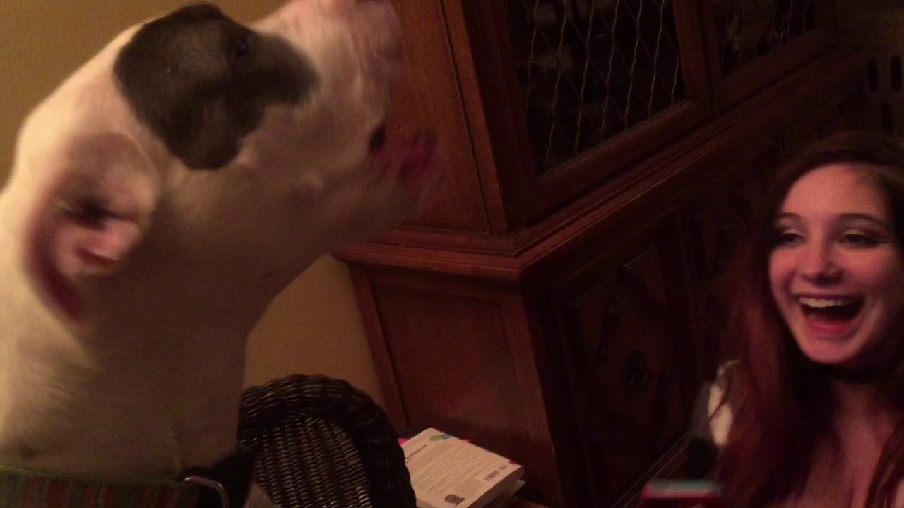 VIDEO Počela je zavijati poput psa, a onda joj je on pokazao kako se to radi!