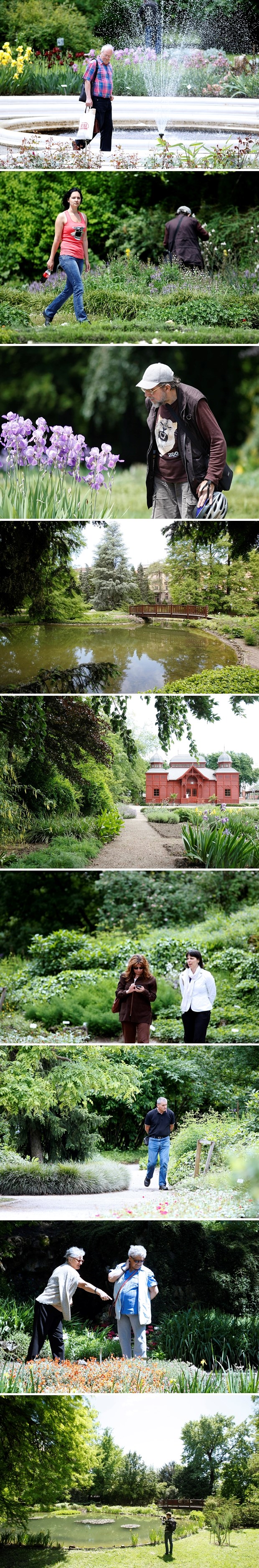 Proljetna šetnja Botaničkim vrtom u Zagrebu