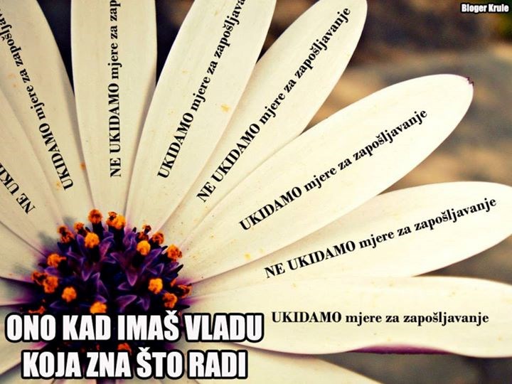 Kad imaš Vladu koja zna što radi