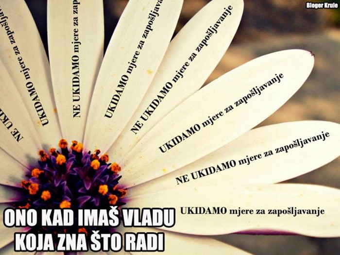 Kad imaš Vladu koja zna što radi