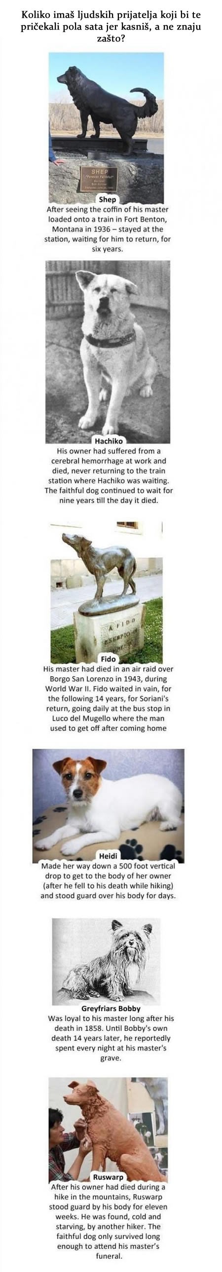 Najvjerniji psi na svijetu: Imaš ovako dobre ljude?
