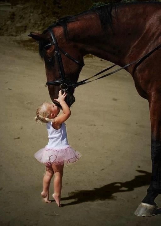 Konjo moj, ti si mi najdragiji na svijetu!