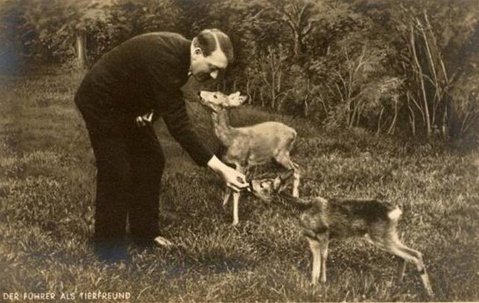 Čudovišta nemaju uvijek rogove i očnjake