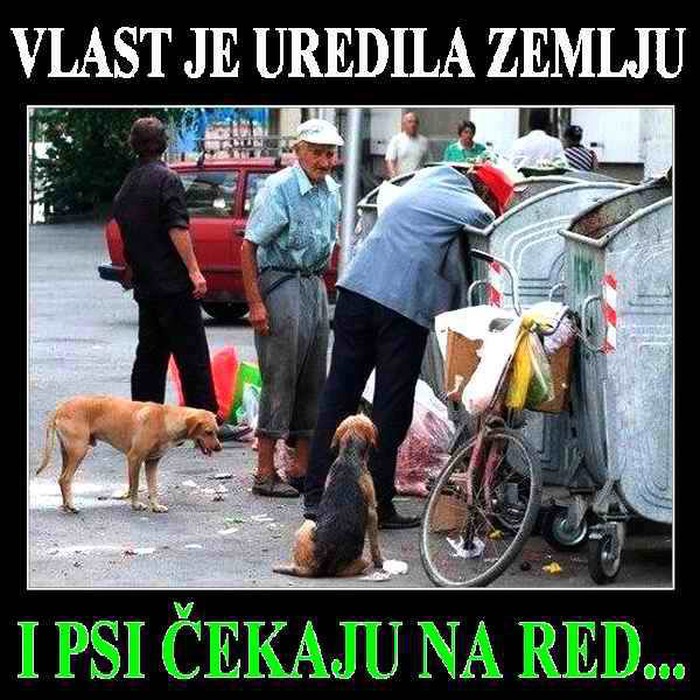 U Hrvatskoj i psi moraju čekati u redu za kopanje po smeću